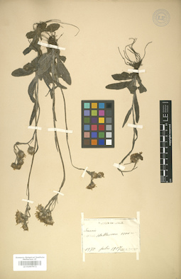 LE 01007972