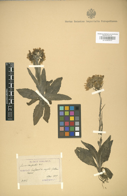 LE 01007973