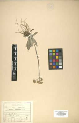 LE 01007974