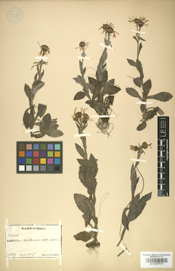 LE 01007976