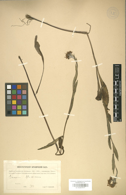 LE 01007977