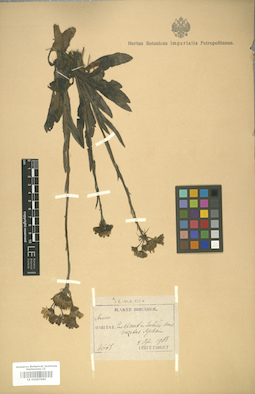 LE 01007985