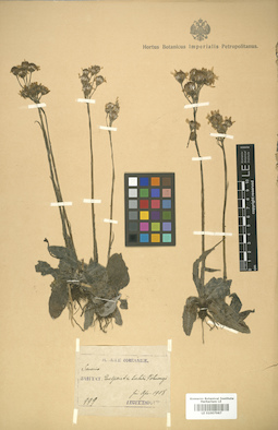 LE 01007987