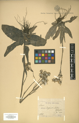 LE 01007988