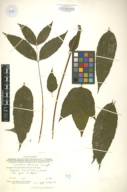 LE 01008006