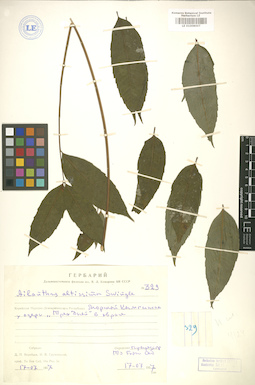 LE 01008007
