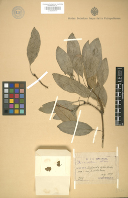 LE 01008038