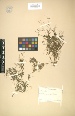 LE 01008066
