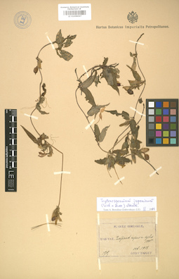 LE 01008067