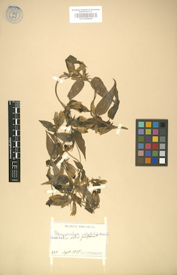 LE 01008069