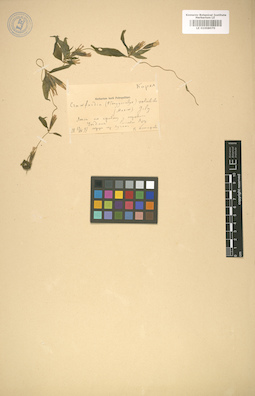 LE 01008070