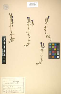 LE 01008071