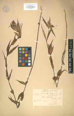 LE 01008072