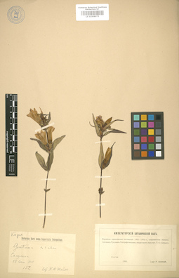 LE 01008073