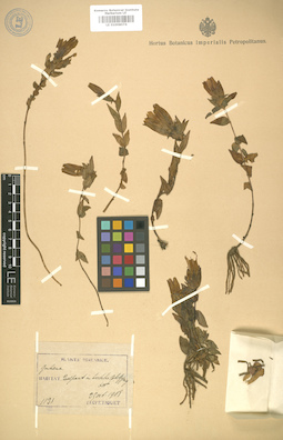 LE 01008074
