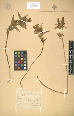 LE 01008075