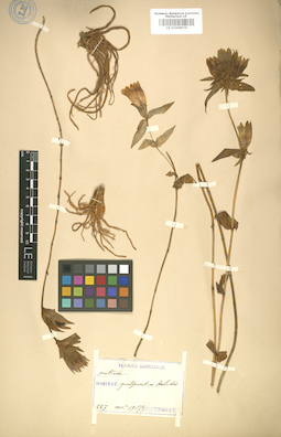 LE 01008076
