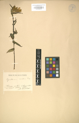 LE 01008078