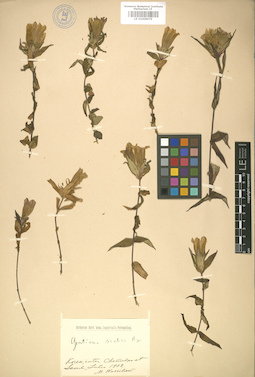 LE 01008079