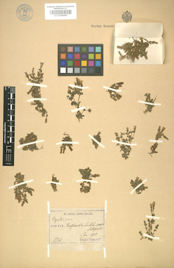 LE 01008080