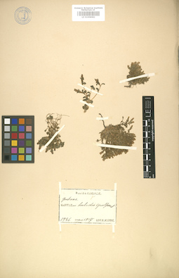 LE 01008082