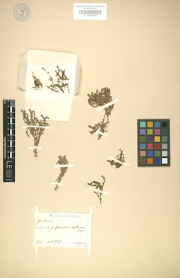 LE 01008083