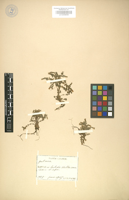 LE 01008084