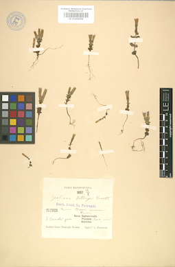 LE 01008088