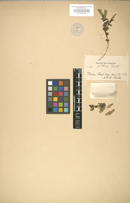 LE 01008089