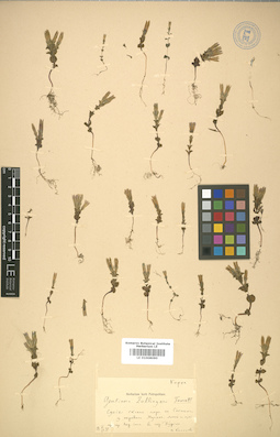 LE 01008090