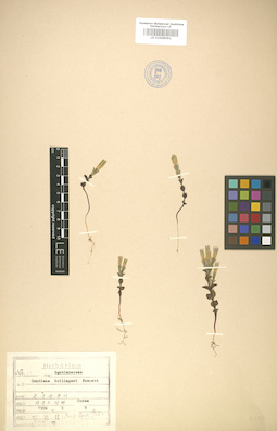 LE 01008091