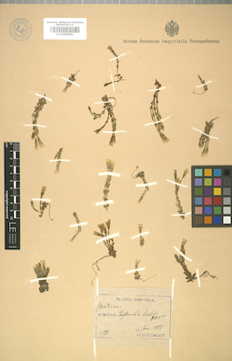 LE 01008092