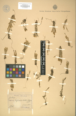 LE 01008093