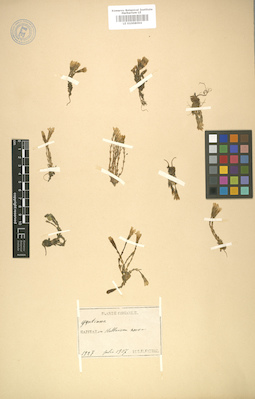 LE 01008094