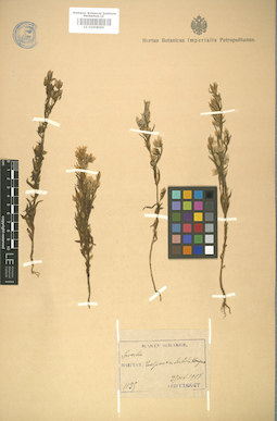 LE 01008096