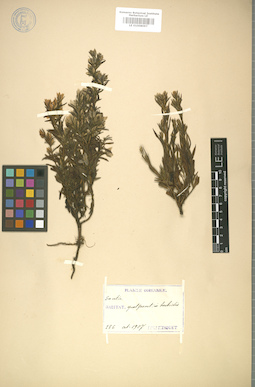 LE 01008097
