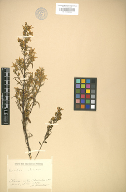 LE 01008099
