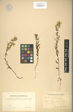 LE 01008101