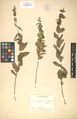LE 01008103