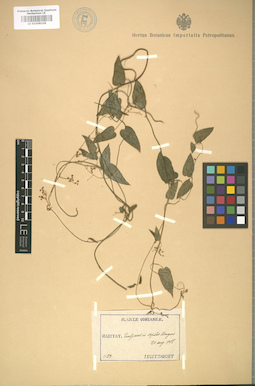 LE 01008108