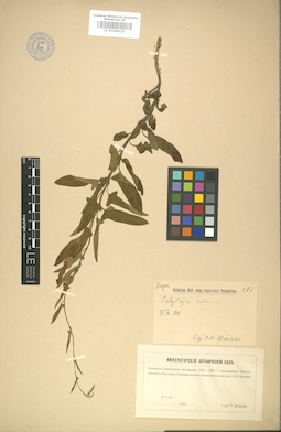 LE 01008122