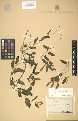 LE 01008135