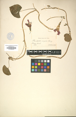 LE 01008139