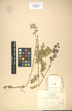LE 01008141