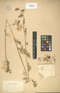 LE 01008142