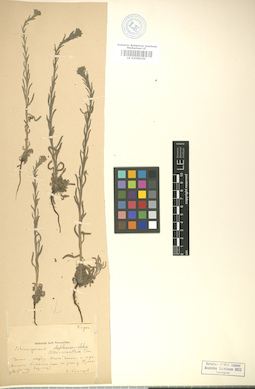 LE 01008150