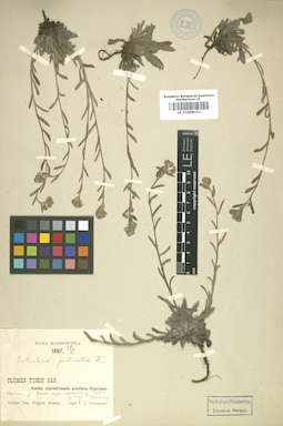 LE 01008151