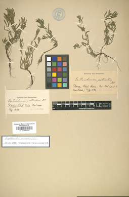 LE 01008153