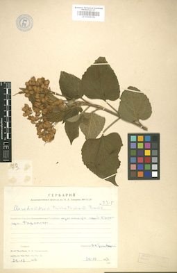 LE 01008158