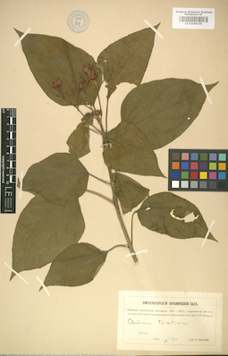 LE 01008159